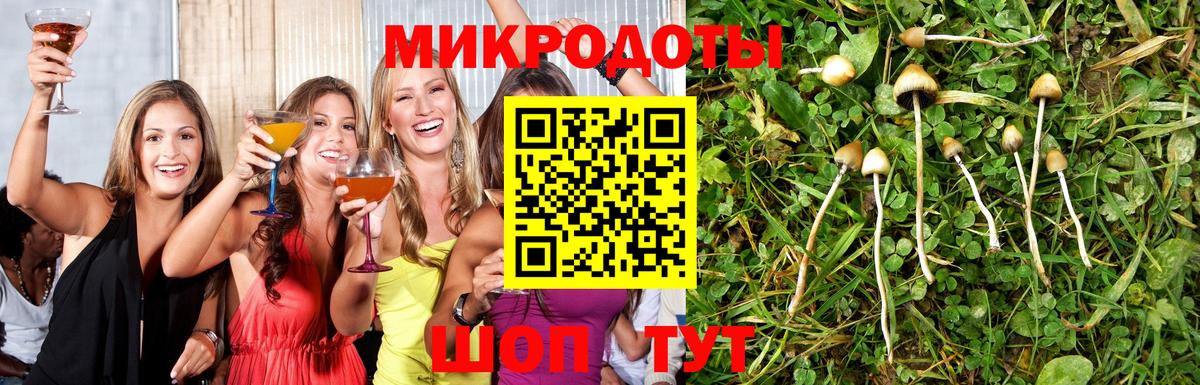 Псилоцибиновые грибы GOLDEN TEACHER  Псилоцибиновые грибы Psilocybine cubensis  Ростов-на-Дону  наркота  Вход с VPN 