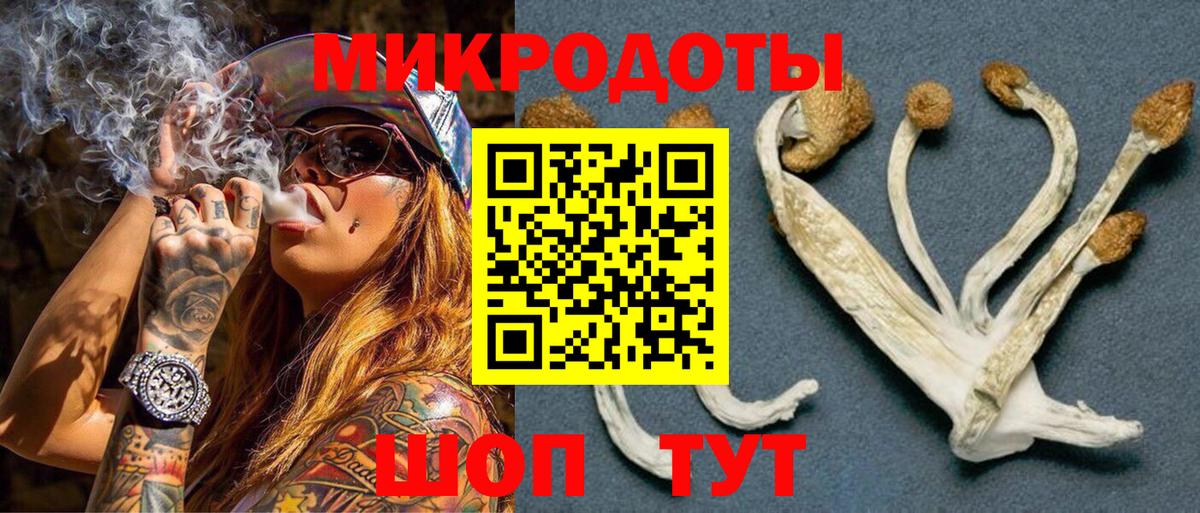 Псилоцибиновые грибы GOLDEN TEACHER Ростов-на-Дону