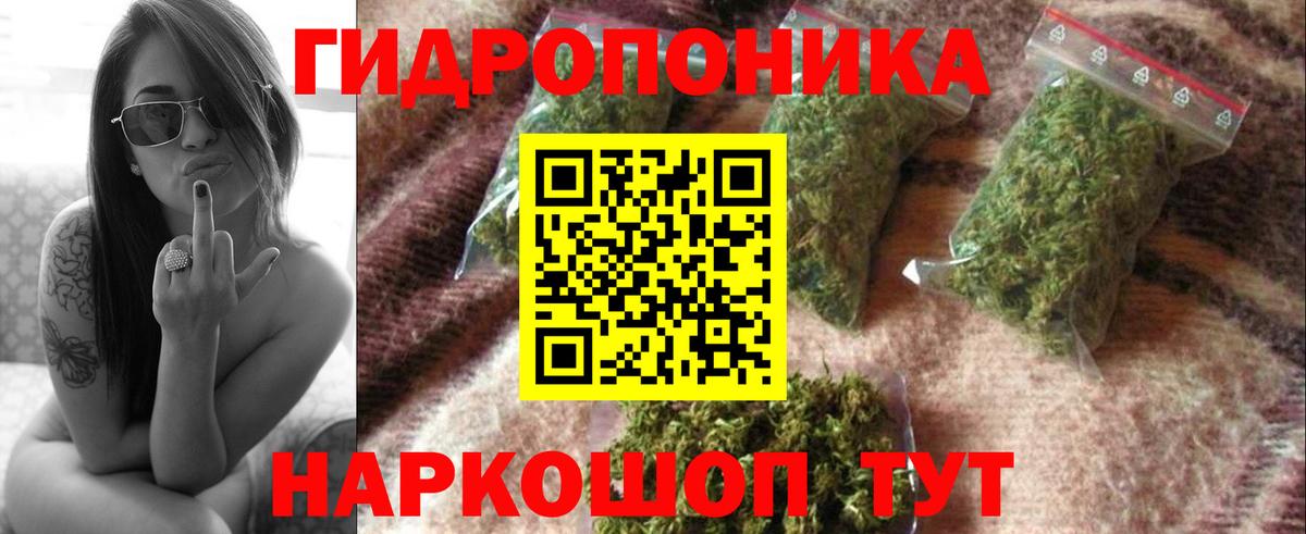 Шишки марихуана семена  Вход с VPN  Конопля ГИДРОПОН  Каннабис марихуана  Ростов-на-Дону  Бошки Шишки White Widow 